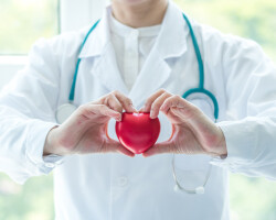 Cardiovascular disease doctor or cardiologist holding red heart in clinic or hospital exam room office for professional medical and cardiology health care service and world heart health day concept